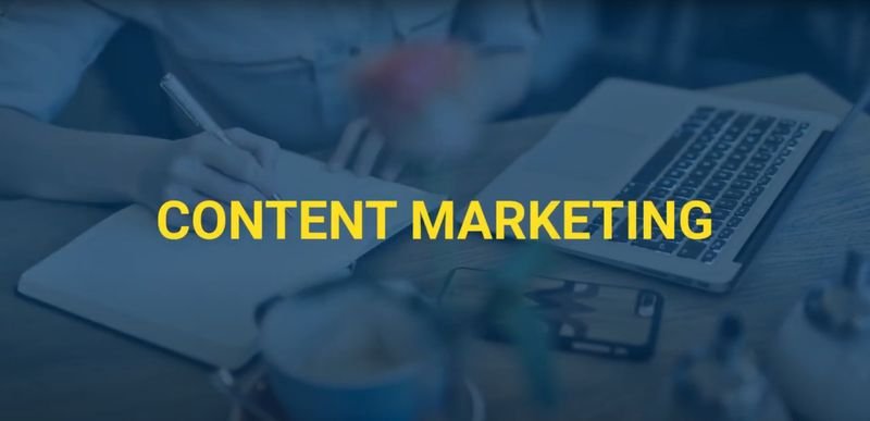 Local SEO vs Organic SEO: Differences and Which You Need